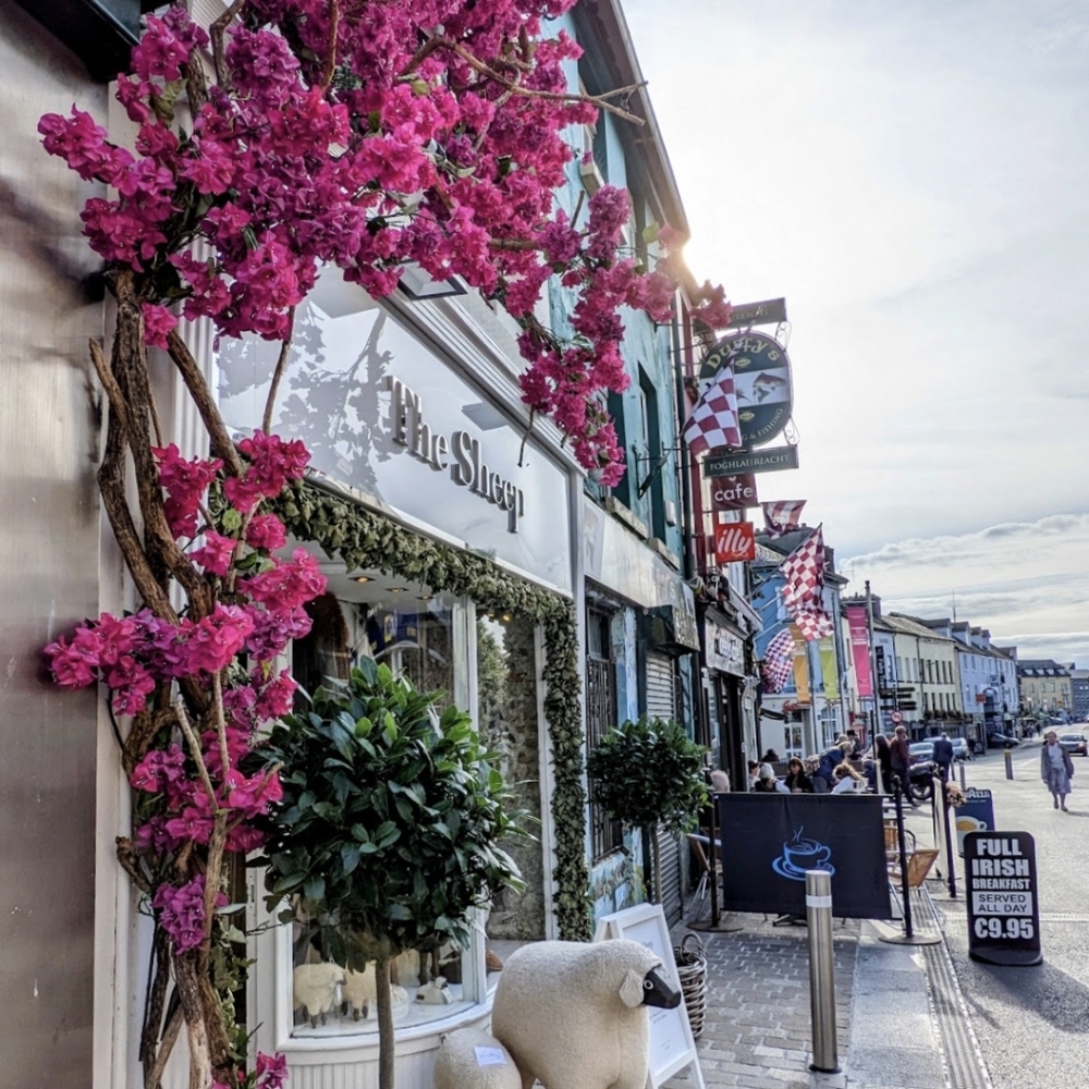 Meet your Posher, Olga